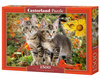 Kitten Buddies, Koty, Kotki, Kot
