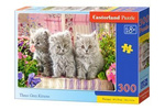 Three Grey Kittens, Koty, Kotki, Kot