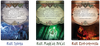 HORROR W ARKHAM LCG: WOJNA ZEWNĘTRZNYCH BOGÓW