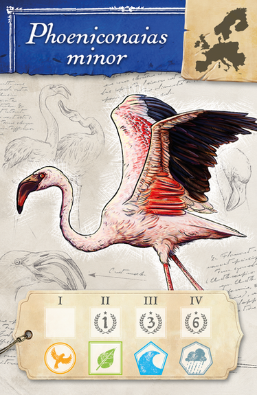 ENCYKLOPEDIA