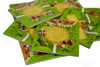 CARCASSONNE: CYRK OBJAZDOWY 